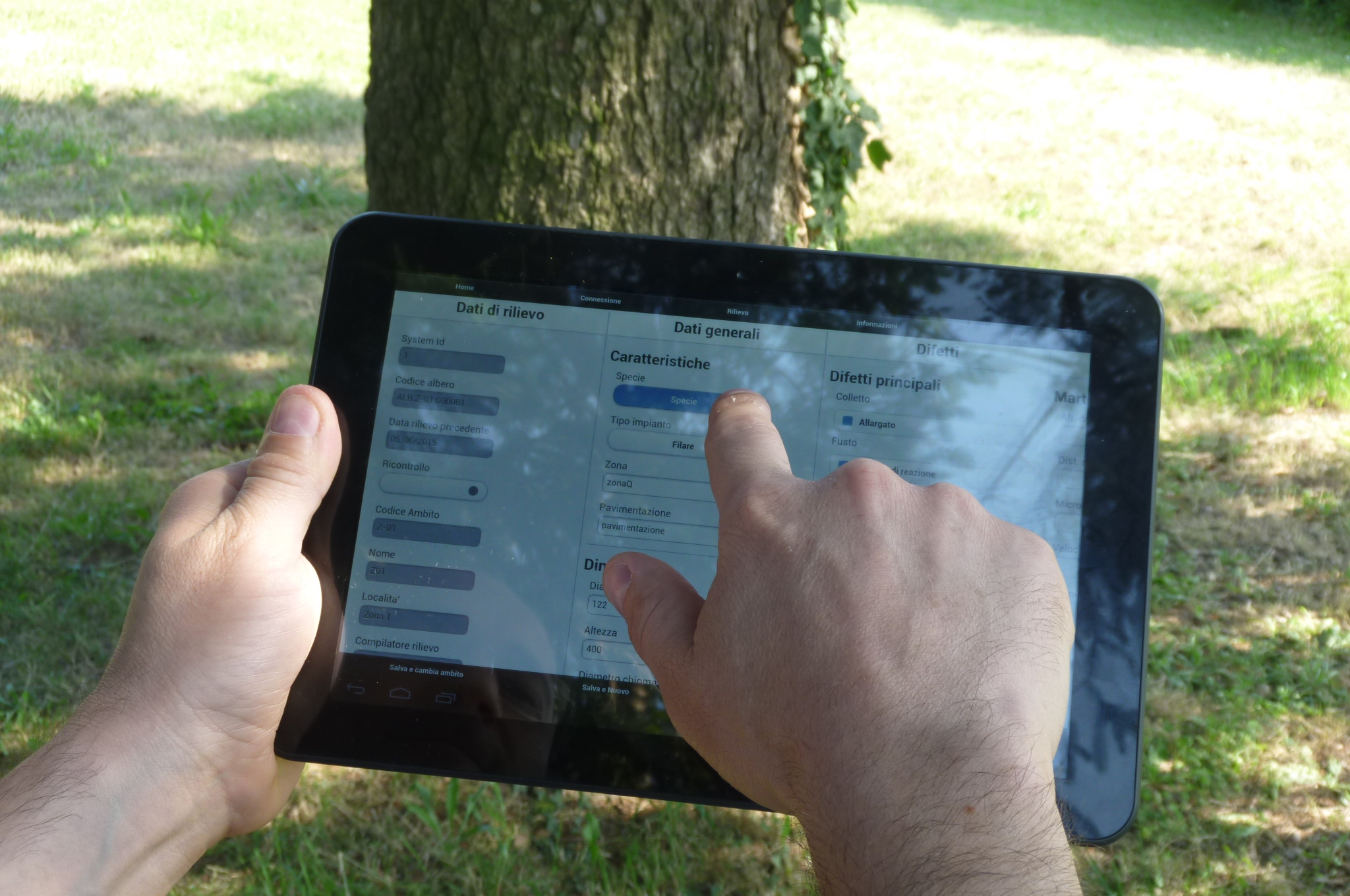 TreeApp in versione web e mobile